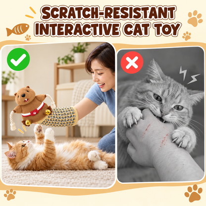 Scratch-Resistant Play Glove for Cats